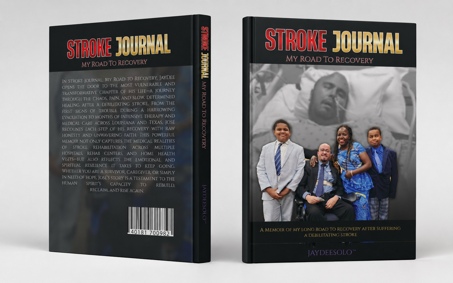 Stroke Journal book cover